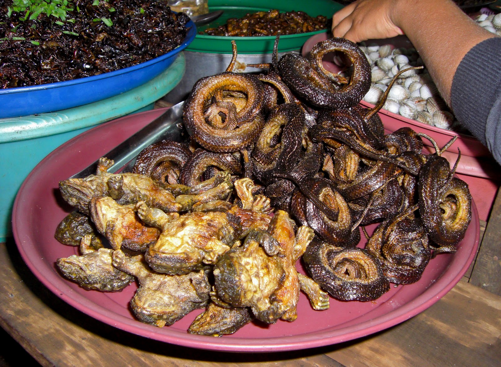 attraction-Where to eat in Kratie 2.jpg
